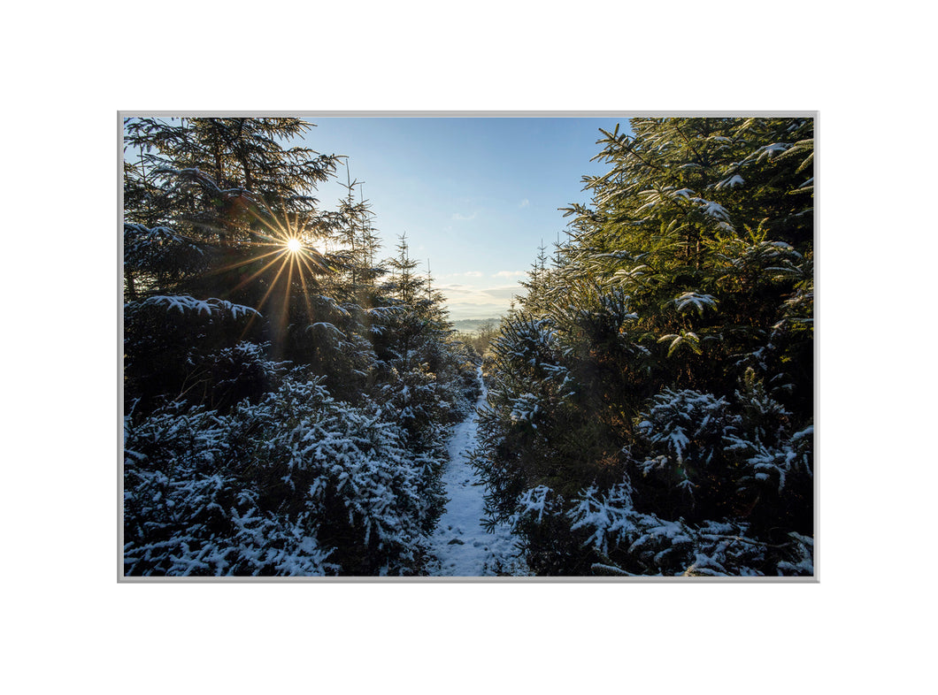 Snow Way, Co. Wexford - A4 print