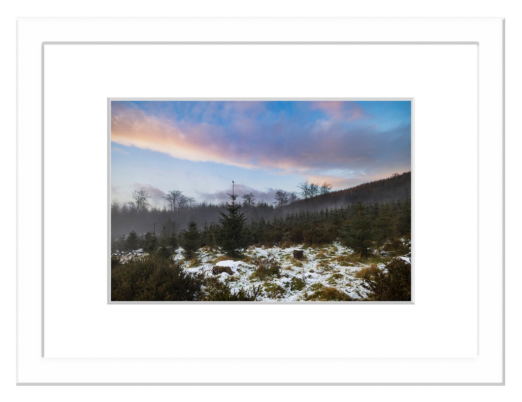 Carrig Woods, Co. Wexford - Framed A3 Print