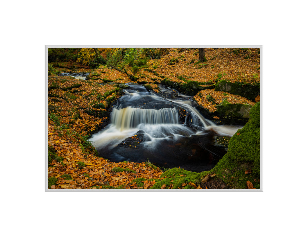 Cloughlea Falls, Co Wicklow - A4 print