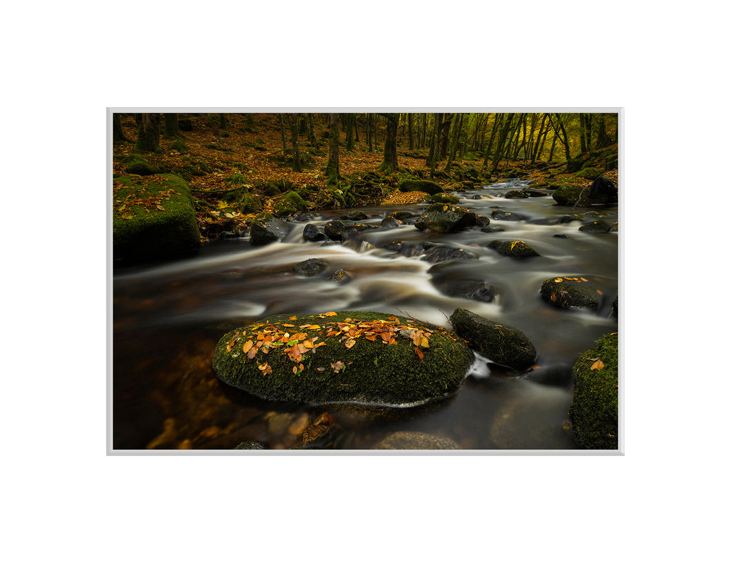 Autumn River, Co. Wicklow - A4 print
