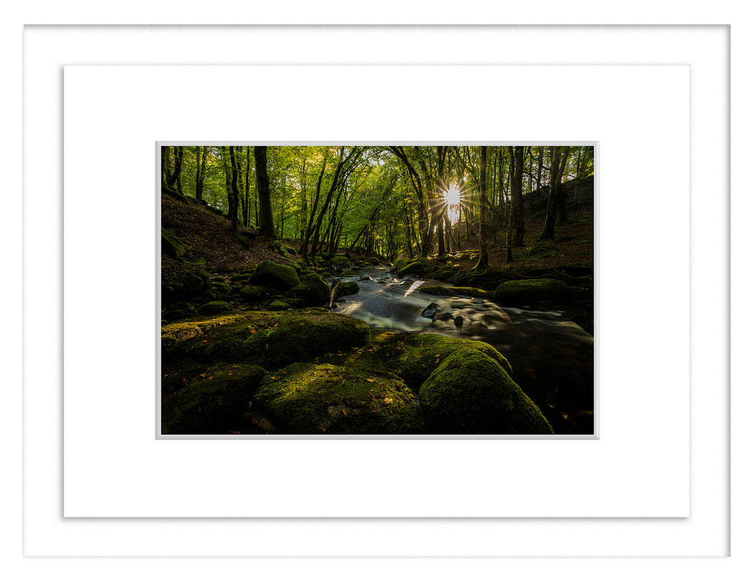 Starburst, Cloughlea, Co. Wicklow - Framed A3 Print